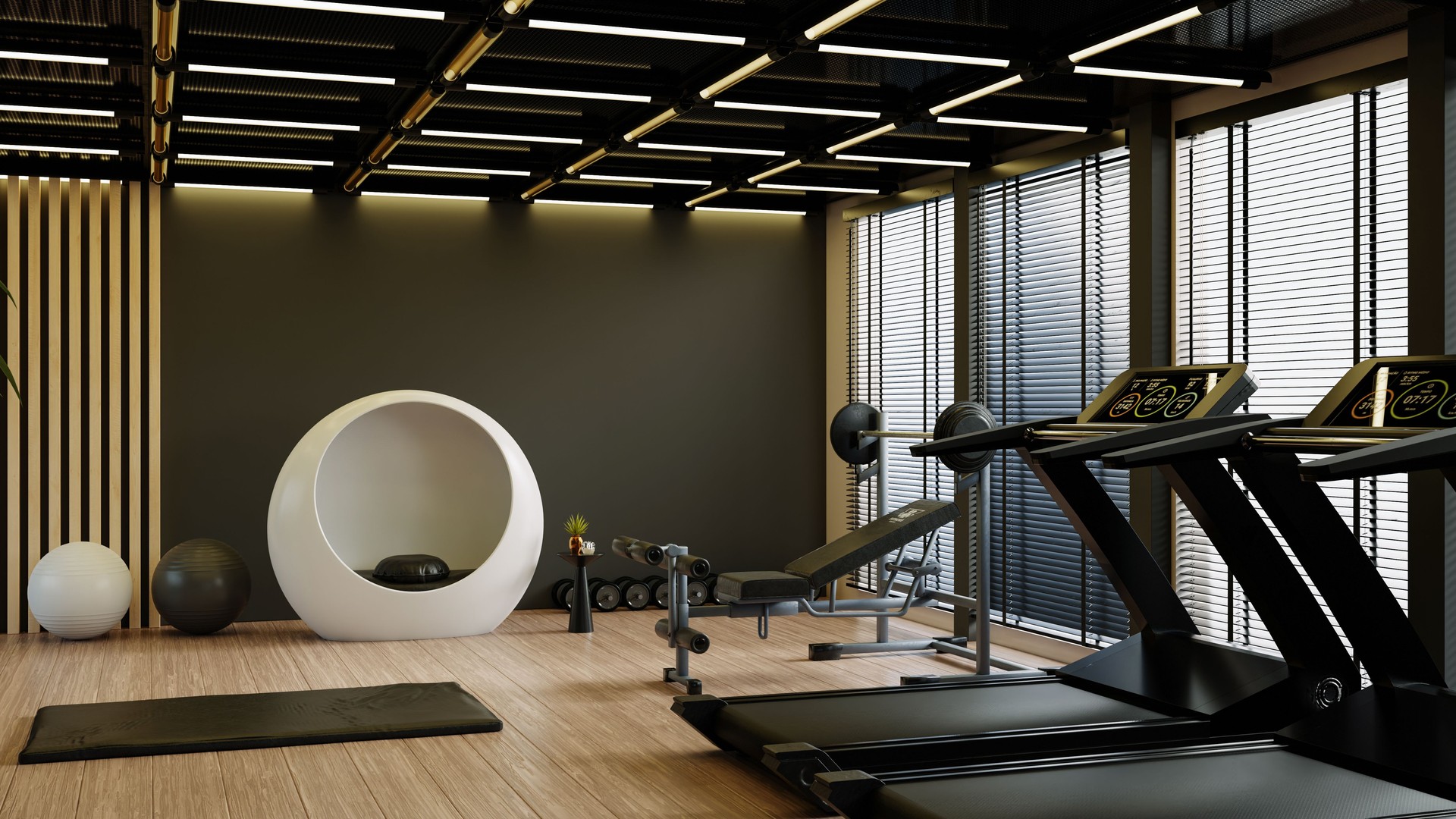 Modern luxury gym interior with fitness equipment and meditation pod- 3D rendering